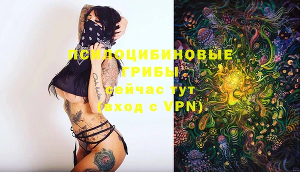 герыч Абаза