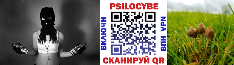 как найти закладки  Грозный  Галлюциногенные грибы GOLDEN TEACHER 